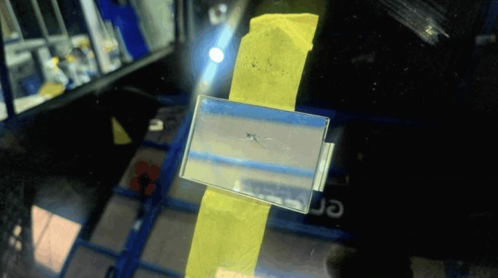 クロスビーのフロントガラスの飛び石ダメージ箇所